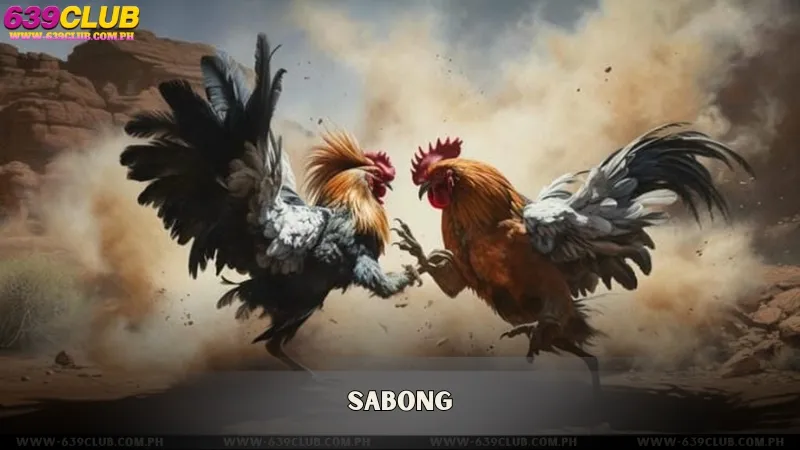 Sabong - 639CLUB Casino