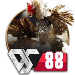 Sabong DS88